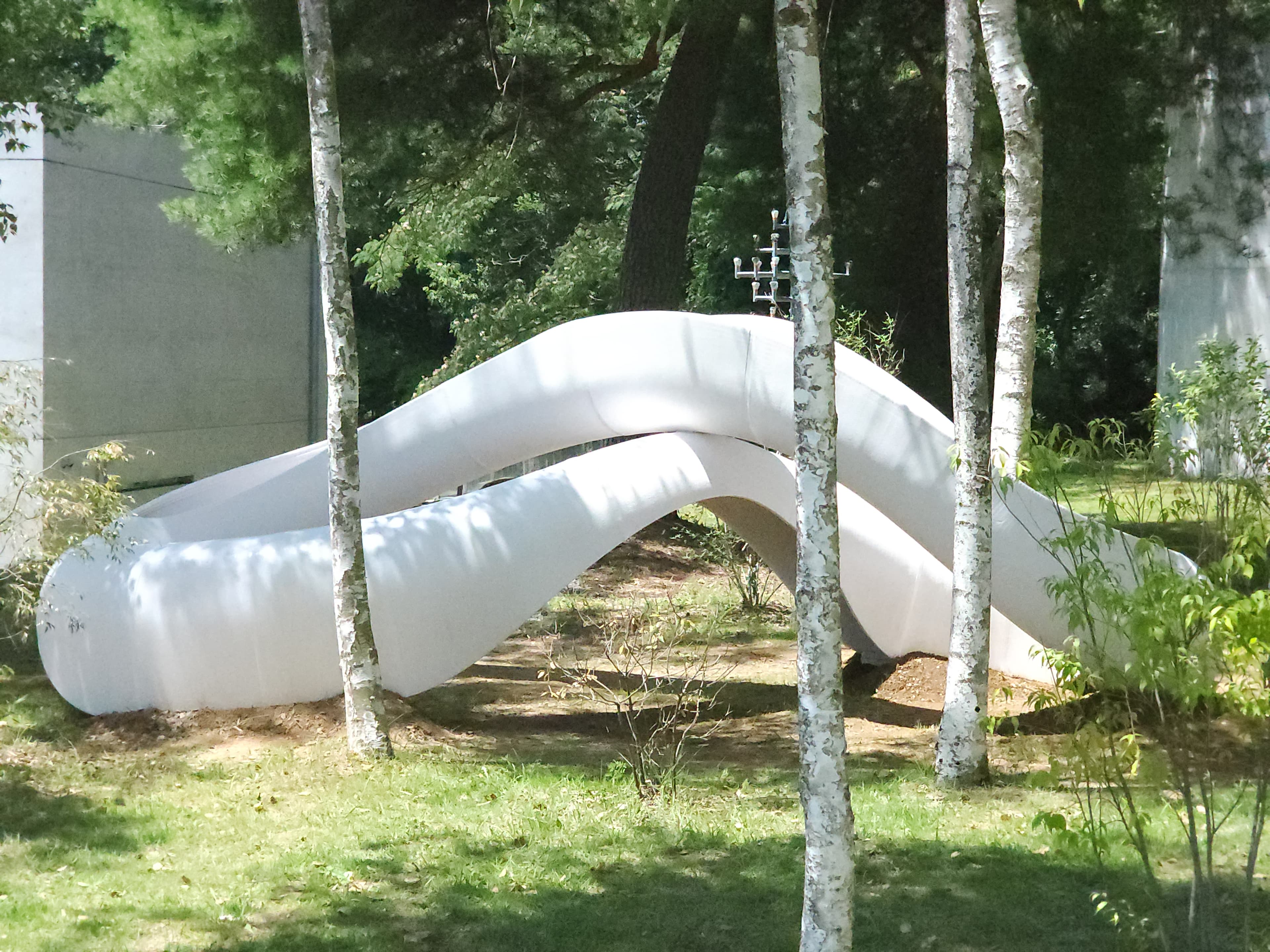 White Loop